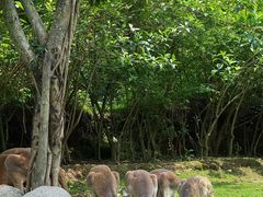 -泉州海丝野生动物世界