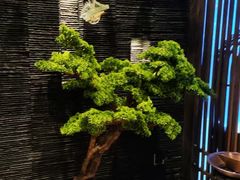 -上足·影院足道·SPA(红岭店)