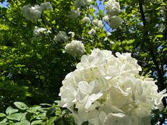 -桃花岛景观公园