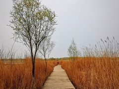 -野鸭湖国家湿地公园