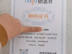 -纳吉亚猫专科动物诊疗中心(蒋宅口分院)