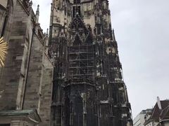 -斯蒂芬主教座堂(Stephansdom)