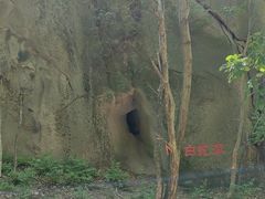 -六里坪国家森林公园