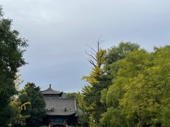 -九老汉·川渝江湖菜(合川路2店)