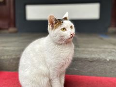 -成都杜甫草堂博物馆