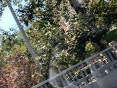 -北京市垂杨柳医院