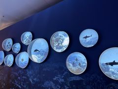 -上海中国航海博物馆