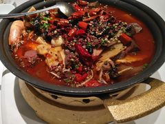 -眉州东坡(望京店)