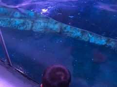 -暹罗海洋世界