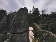 -山王坪喀斯特国家生态公园