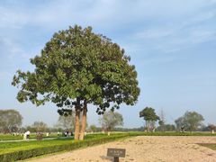 -汉长安城未央宫国家考古遗址公园