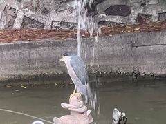 -上海虹桥迎宾馆