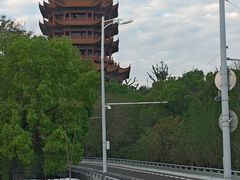 -郑记•不夜城烧烤•龙虾•虾蟹(黄鹤楼店)