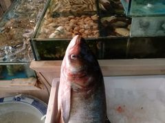 -小铜锣湾海鲜家常菜馆(河西店)