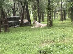 -秦皇岛野生动物园
