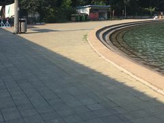 -柳浪游泳场