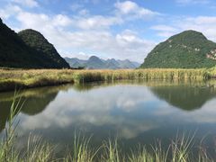 -稻香酒家(天河城店)