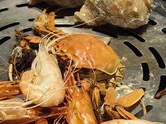 -半岛听涛蒸汽海鲜自助(K11店)