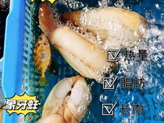 -七鲜渔港美食餐厅(巽寮湾海景店)