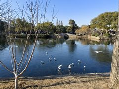 -无锡蠡湖国家湿地公园-蠡园