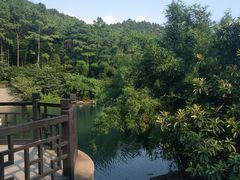 -九龙潭景区