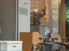 -YECLIP COFFEE黄色回形针咖啡