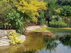 -云溪植物园