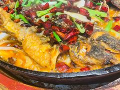 -老板恋上鱼(高新万达店)
