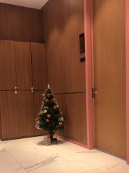 -深圳艺星医疗美容医院