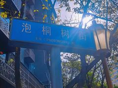 -泡桐树街