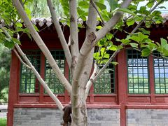 -北坞公园