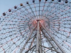 -琴岛之星摩天轮