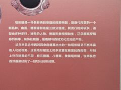 -宁夏博物馆