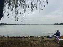 -阳澄湖半岛旅游度假区