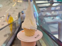 -野人先生Gelato(上海长宁龙之梦店)