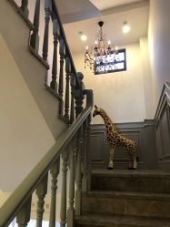 -非常六加一儿童摄影(同安店)