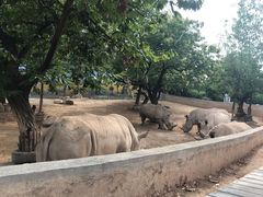 -西安秦岭野生动物园