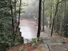 -缙云山景区