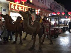 -敦煌夜市