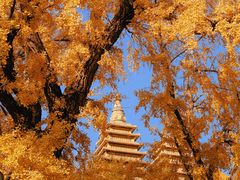 -北京石刻艺术博物馆(五塔寺)
