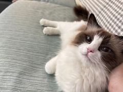 -美联众合24小时·皮肤科·外科·全科诊疗中心(华苑分院)