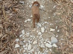 -北京西山国家森林公园