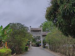 -扬美古镇景区
