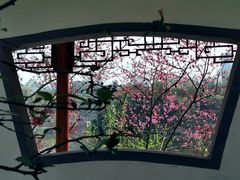 -重庆彩云湖湿地公园