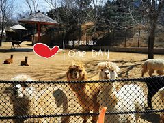 -大连森林动物园