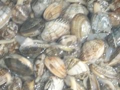 -宾朋海鲜特色美食餐厅·纯手工鲅鱼水饺(兴海路店)