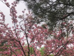 -北京世界公园