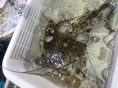 -盒马鲜生(宝地店)