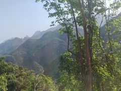 -九华山风景区