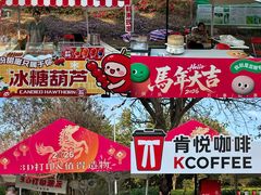 -东莞植物园